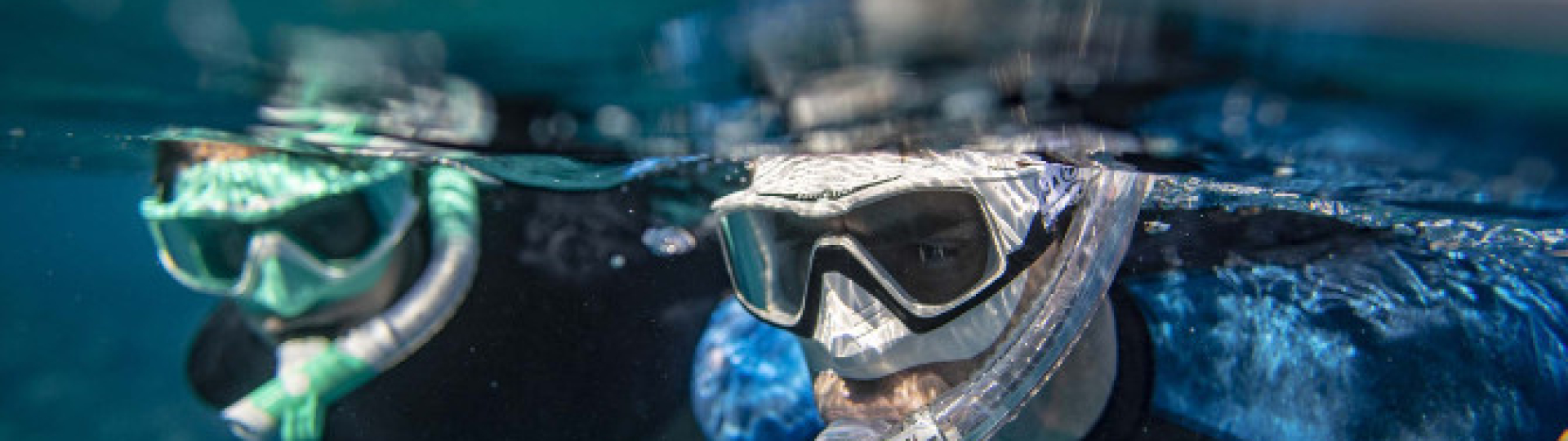 SNORKELING…alla scoperta della VITA SOTT’ACQUA 