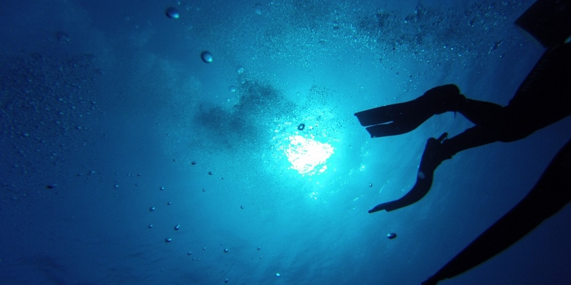SNORKELING - ALLA SCOPERTA DELLA VITA SOTT'ACQUA