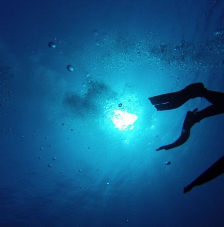 SNORKELING - ALLA SCOPERTA DELLA VITA SOTT'ACQUA