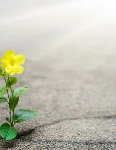 SENZA PERDERE LA GIOIA - giovedì 23 aprile